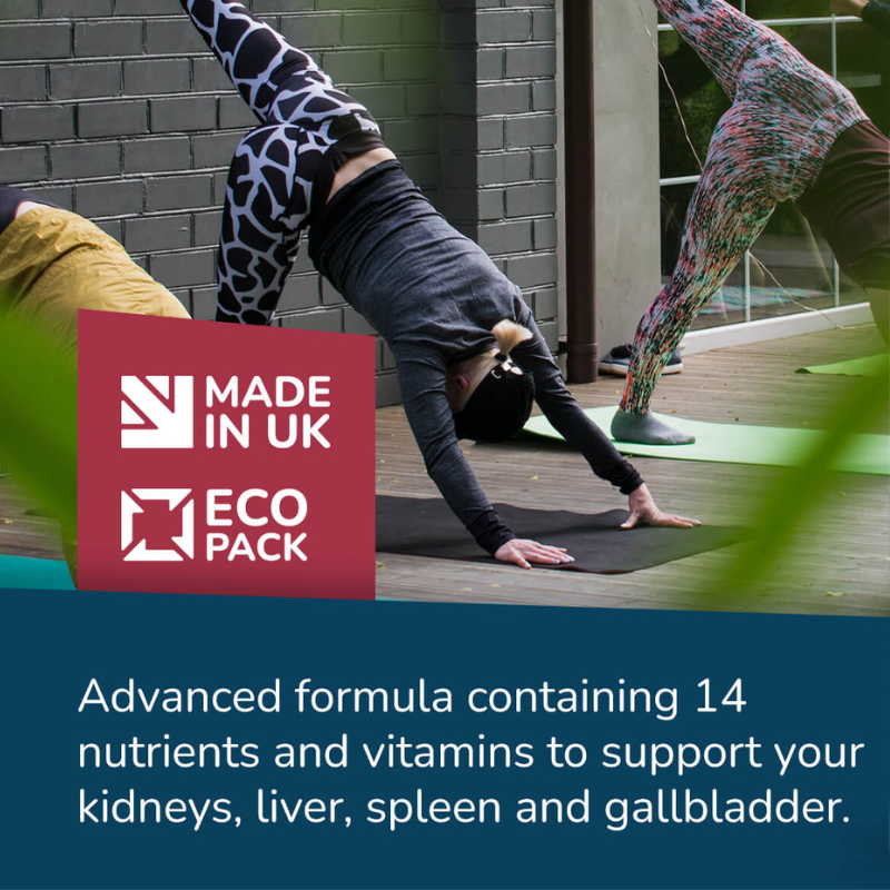 Bestlyfe Kidney Support Supplements