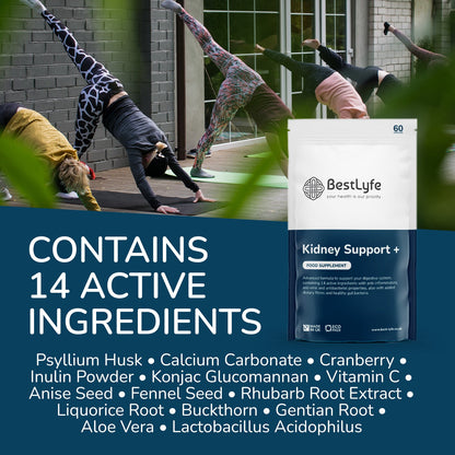 Bestlyfe Kidney Support Supplements